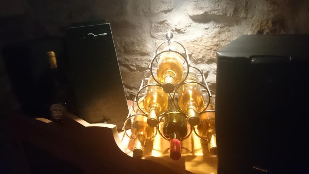 Apartment Vinny Dom Vinicky エクステリア 写真